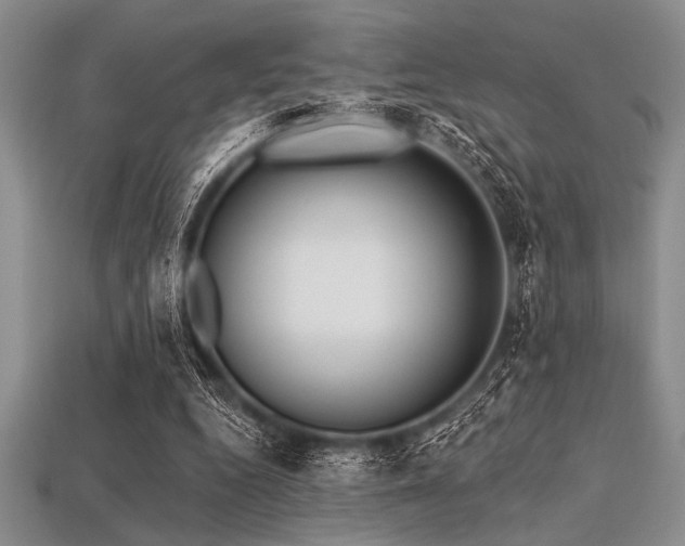 X0000113320344200909141400