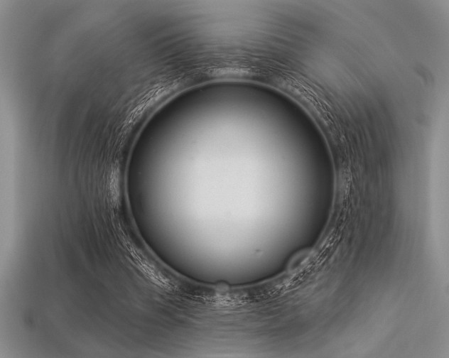 X0000113320345200909141400