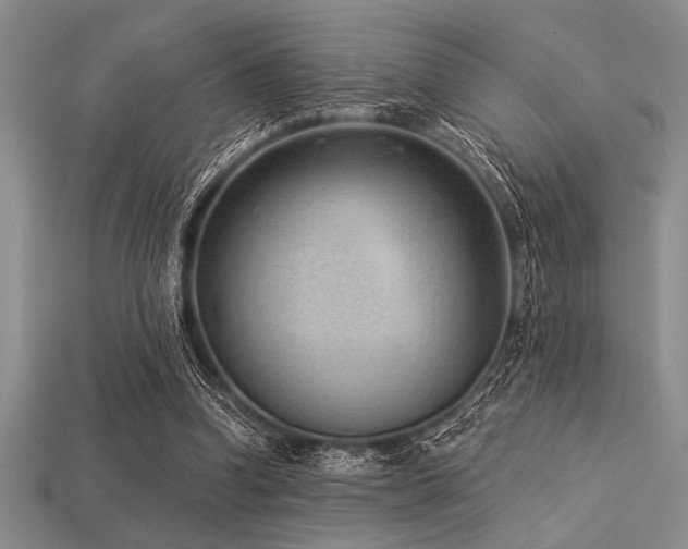 X0000113320346200909141400