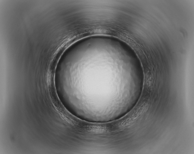 X0000113320347200909141400