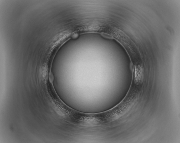 X0000113320348200909141400