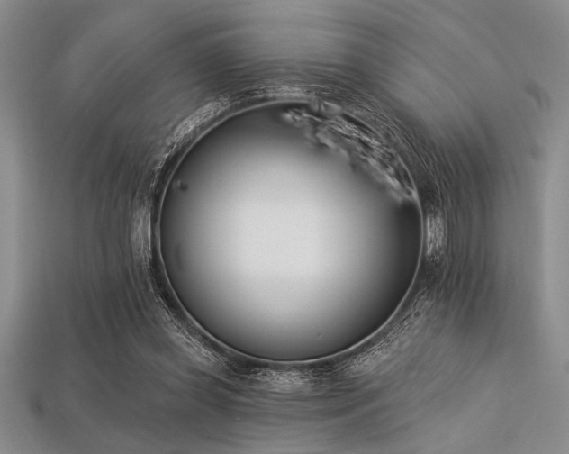 X0000113320349200909141400