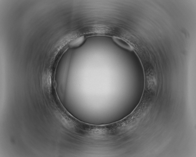 X0000113320350200909141400