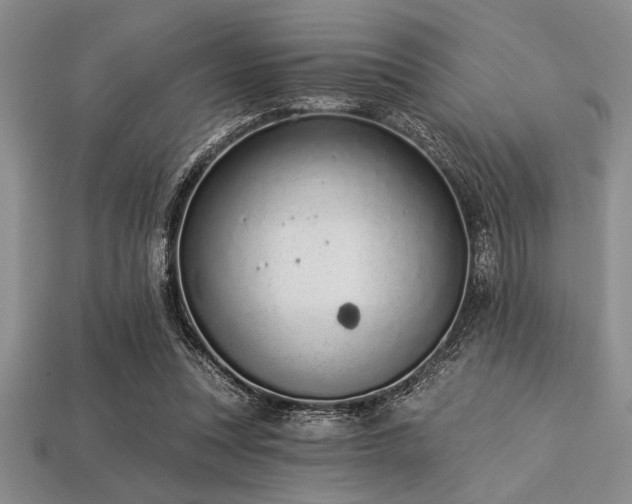 X0000113320351200909141400