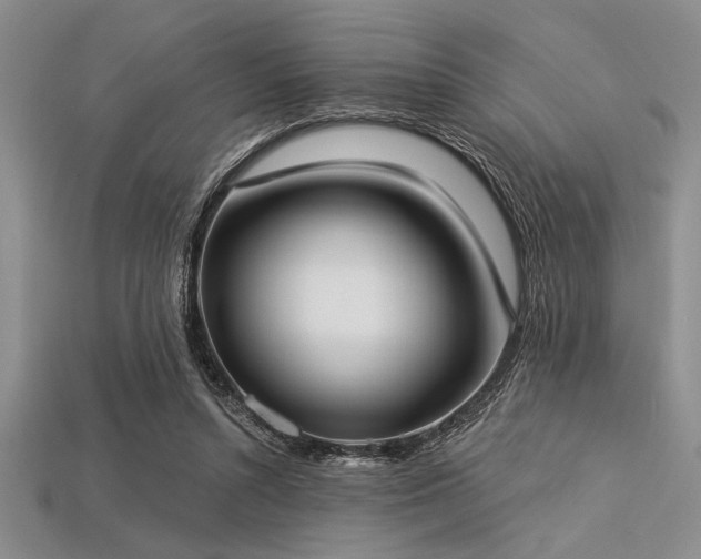 X0000113320352200909141400