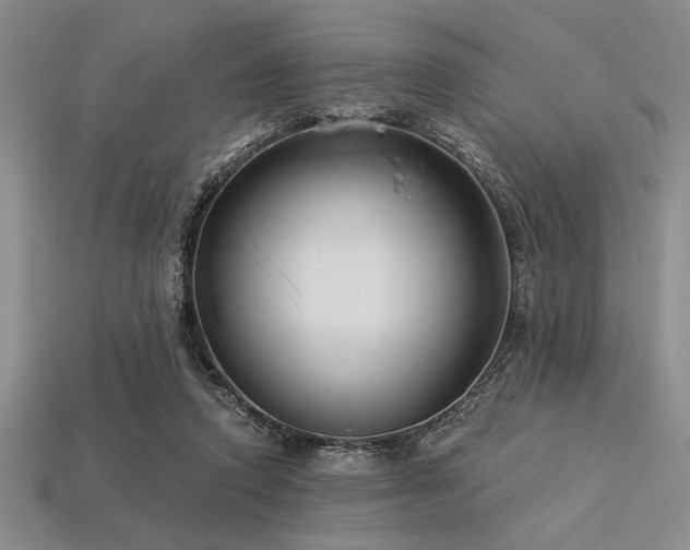 X0000113320354200909141400