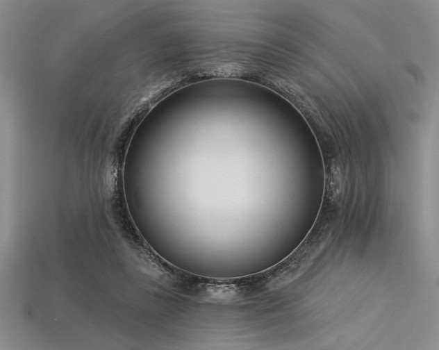 X0000113320355200909141400