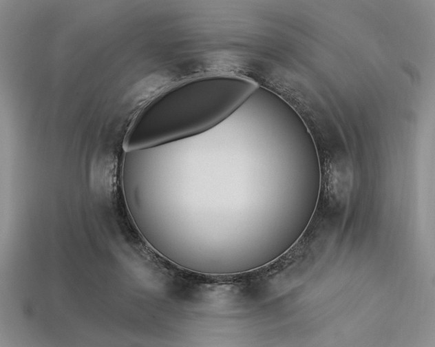 X0000113320356200909141400