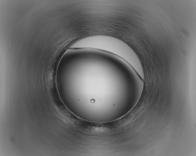 X0000113320360200909141400