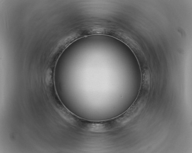 X0000113320361200909141400