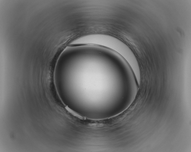 X0000113320362200909141400