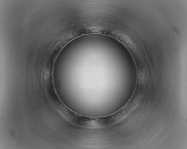 X0000113320365200909141400