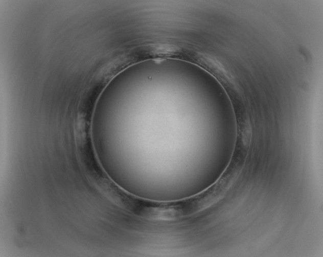 X0000113320366200909141400