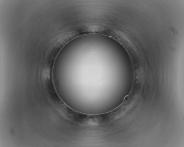 X0000113320368200909141400