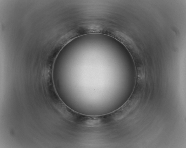 X0000113320369200909141400