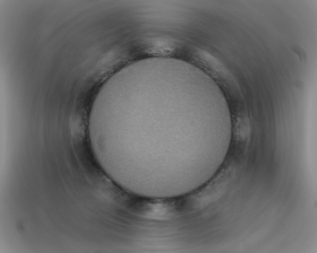 X0000113320370200909141400