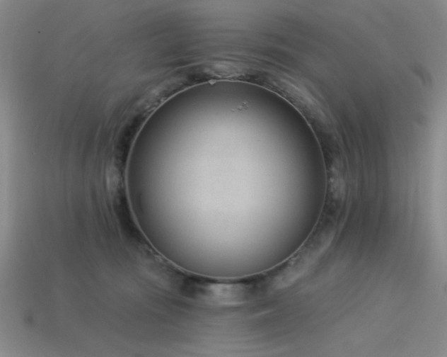 X0000113320371200909141400