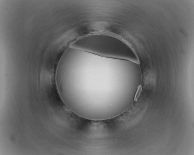 X0000113320376200909141400