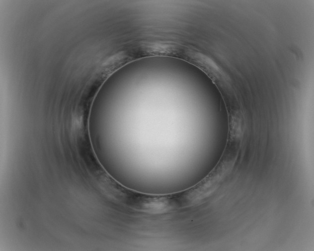 X0000113320377200909141400