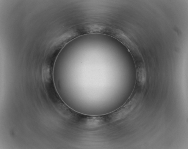 X0000113320378200909141400