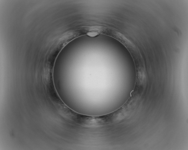 X0000113320379200909141400