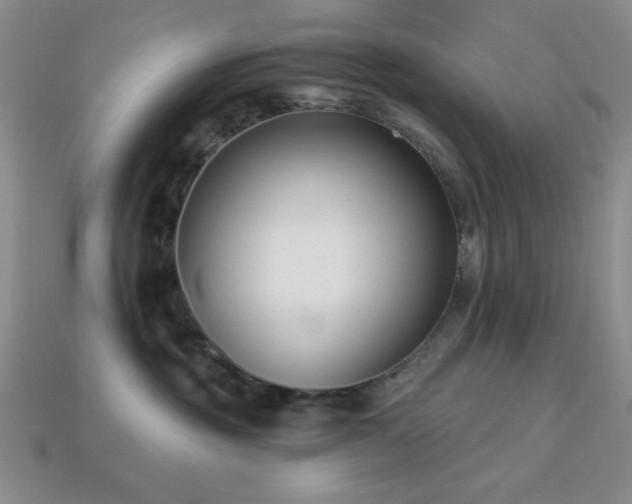 X0000113320381200909141400