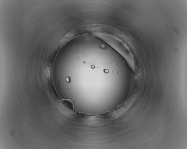 X0000113320382200909141400