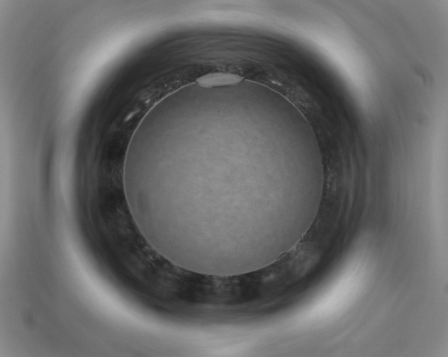 X0000113320383200909141400