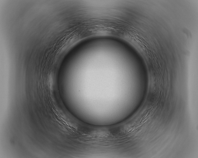 X0000113320386200909141400