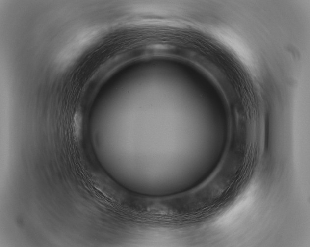 X0000113320387200909141400