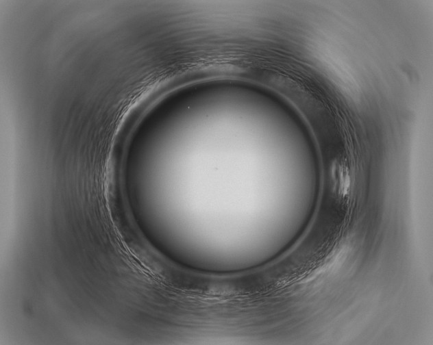 X0000113320388200909141400