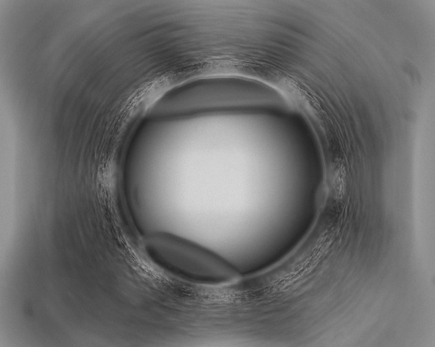 X0000113320389200909141400