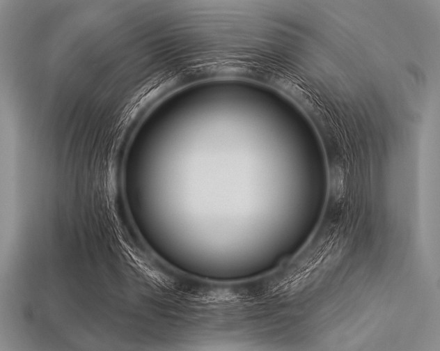 X0000113320390200909141400