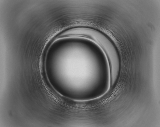 X0000113320391200909141400