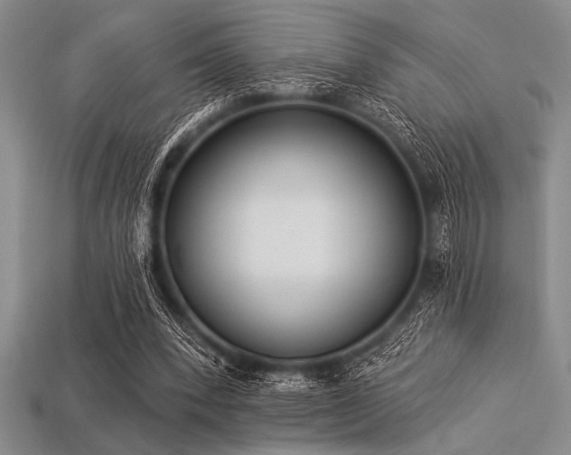 X0000113320392200909141400