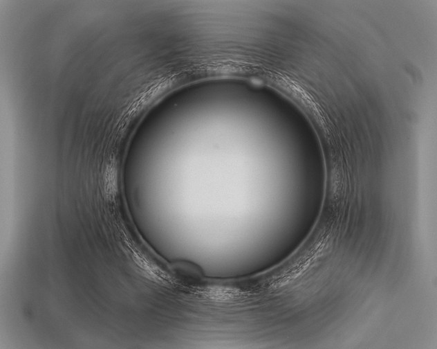 X0000113320393200909141359