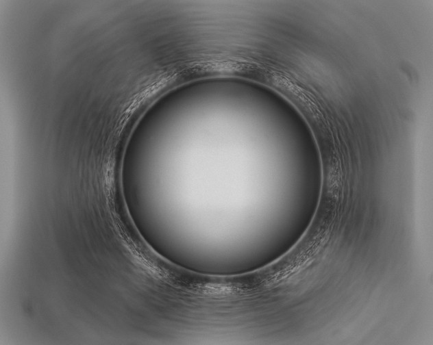 X0000113320394200909141359