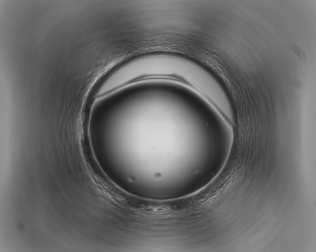 X0000113320395200909141359