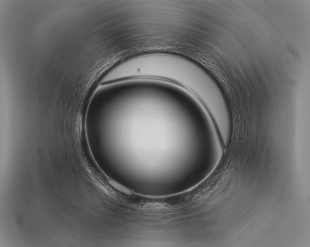 X0000113320397200909141359