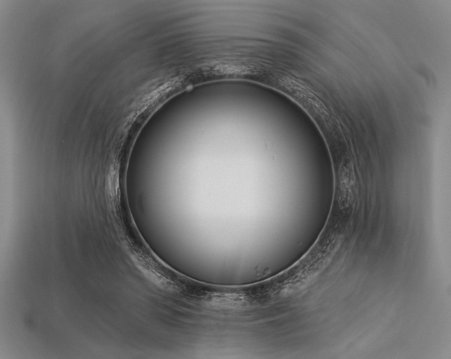 X0000113320398200909141359