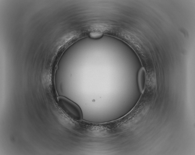 X0000113320399200909141359