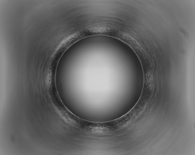 X0000113320400200909141359