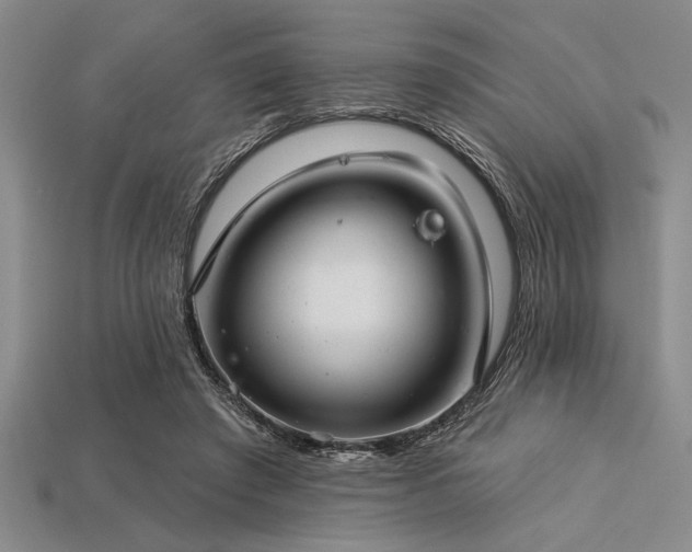 X0000113320401200909141359