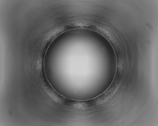 X0000113320402200909141359