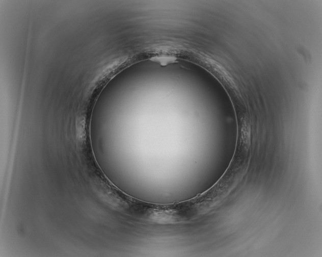 X0000113320403200909141359