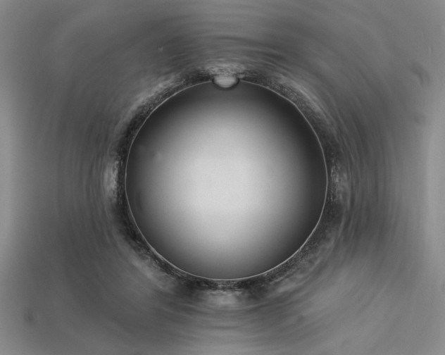 X0000113320404200909141359