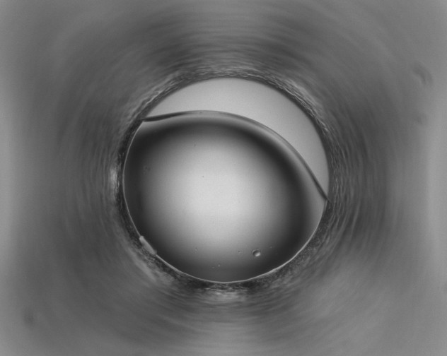 X0000113320405200909141359