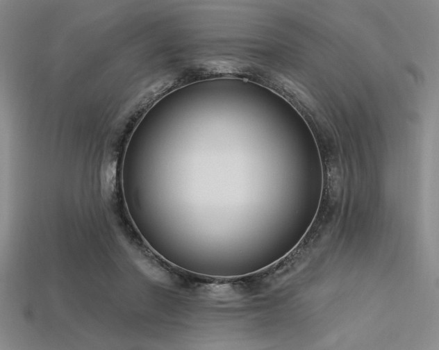 X0000113320406200909141359