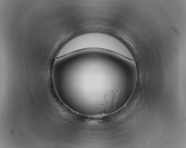 X0000113320407200909141359