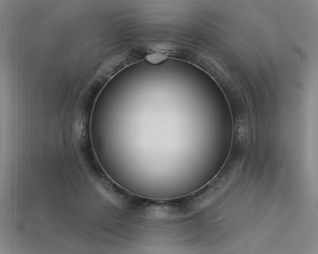 X0000113320408200909141359